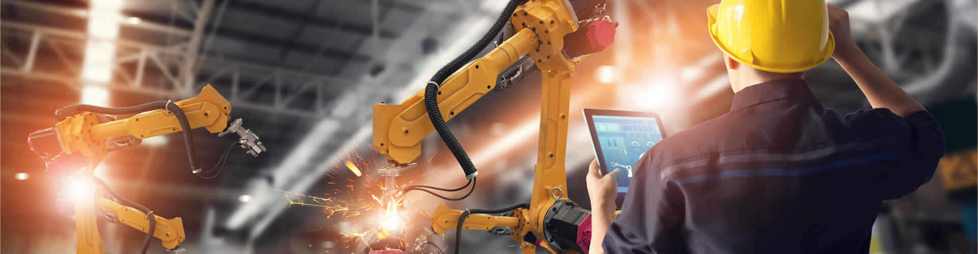 Empresa profissional flex